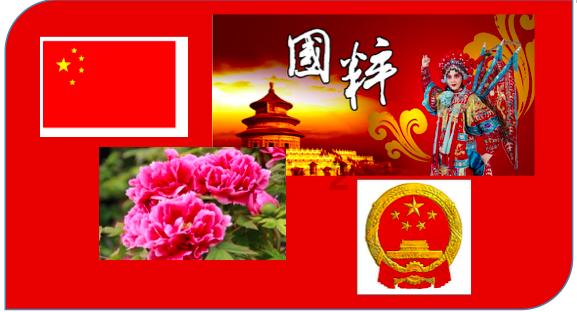 细胞分裂5