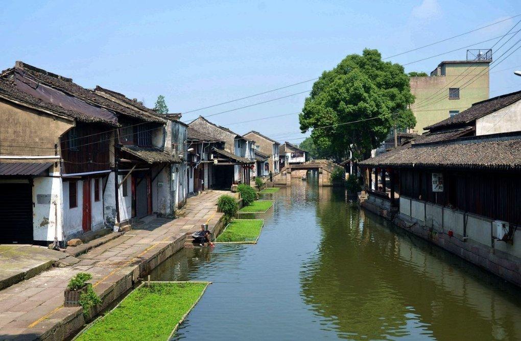 网游之大神莫挡路
